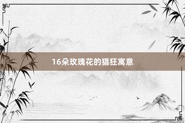 16朵玫瑰花的猖狂寓意